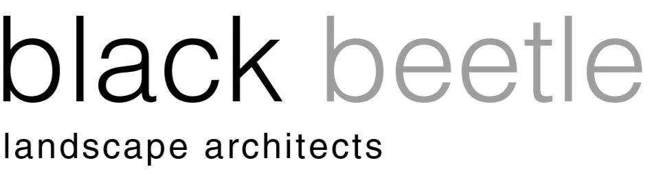 Black Beetle