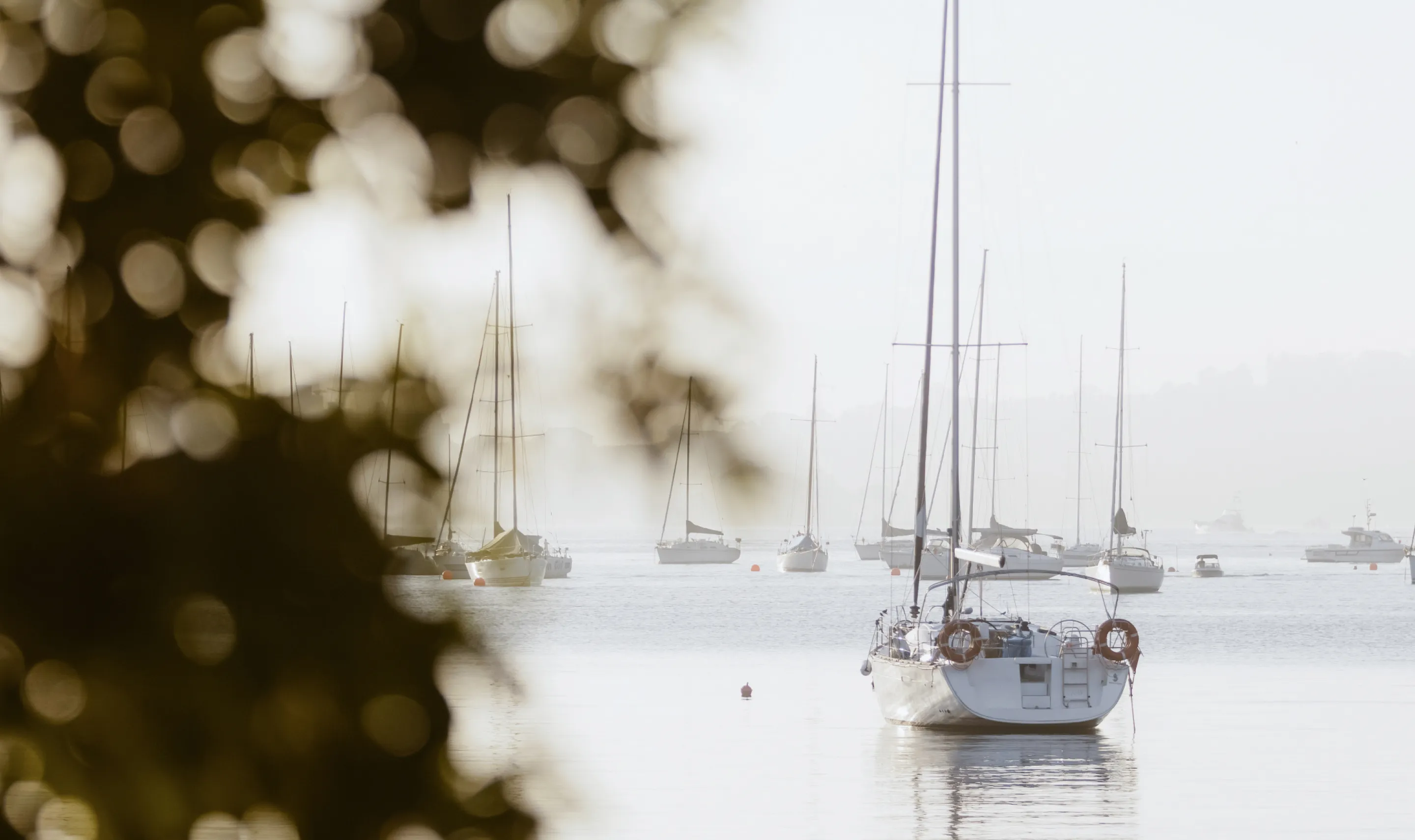 Made Property - Kirribilli Harbour lifestyle
